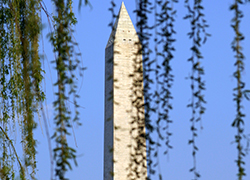 Obelisk in Washington DC